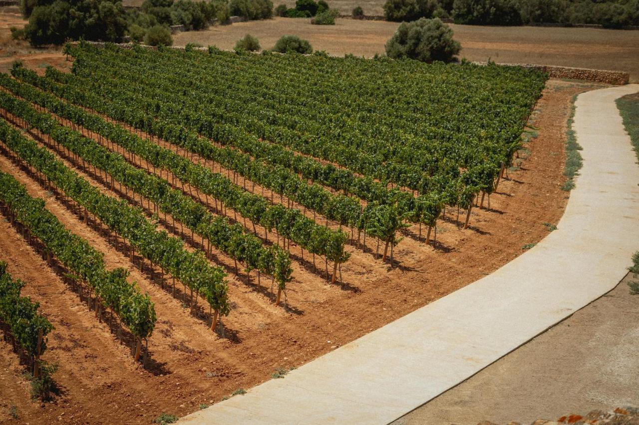 Finca Gomera By Itinerem - Adults Only Llucmajor (Mallorca) Ngoại thất bức ảnh